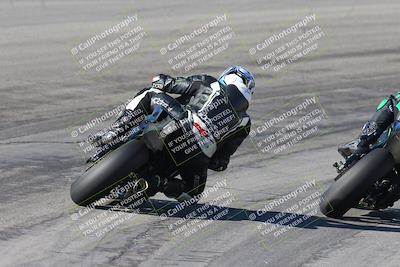 media/Feb-04-2024-SoCal Trackdays (Sun) [[91d6515b1d]]/4-Bowl Backside (11am)/